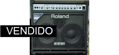 Roland D-BASS 210